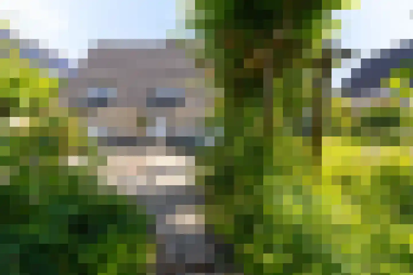 Koperwiek 4 Venhuizen thumbnail 23