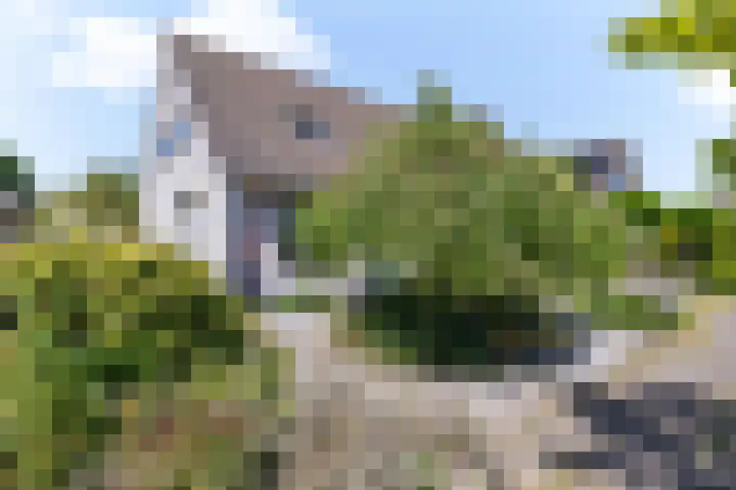 Koperwiek 4 Venhuizen thumbnail 7