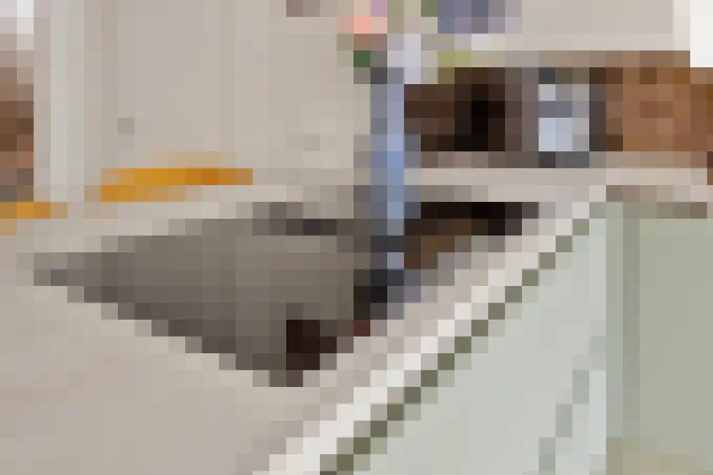 Koperwiek 44 Etten-Leur thumbnail 13