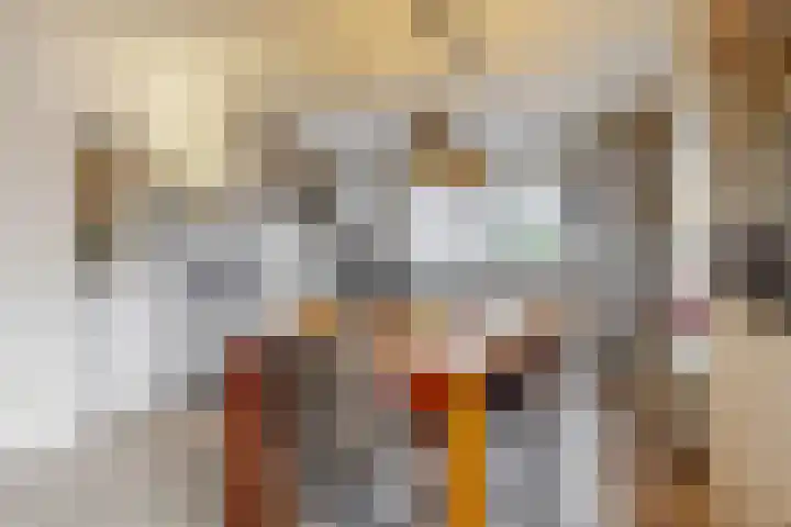 Koperwiek 6 Venhuizen thumbnail 13