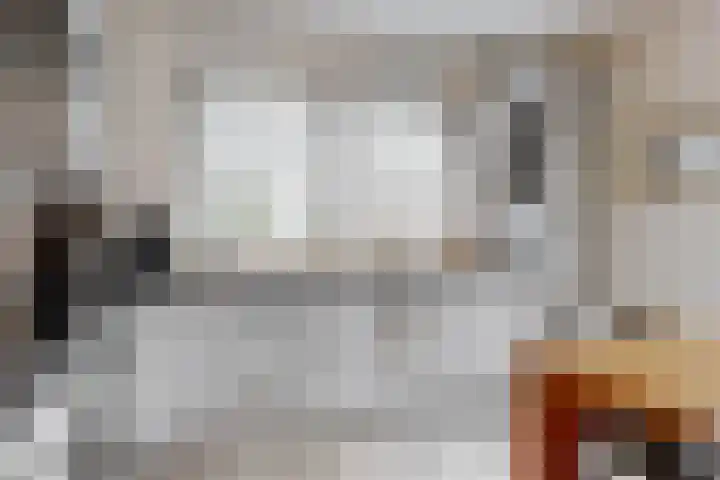 Koperwiek 6 Venhuizen thumbnail 16