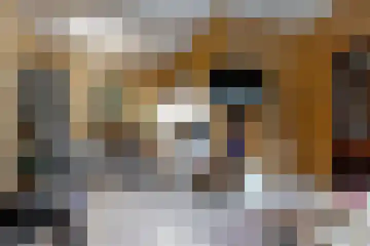 Koperwiek 6 Venhuizen thumbnail 19