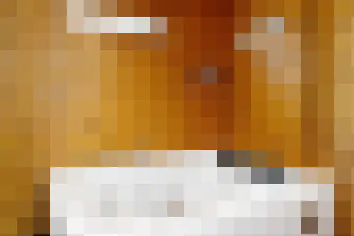 Koperwiek 6 Venhuizen thumbnail 31