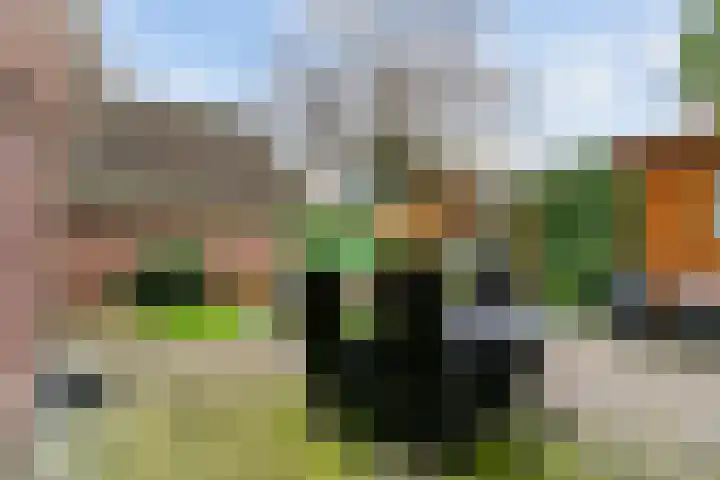 Koperwiek 6 Venhuizen thumbnail 46