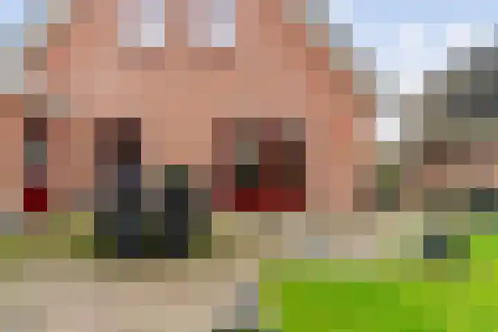 Koperwiek 6 Venhuizen thumbnail 50