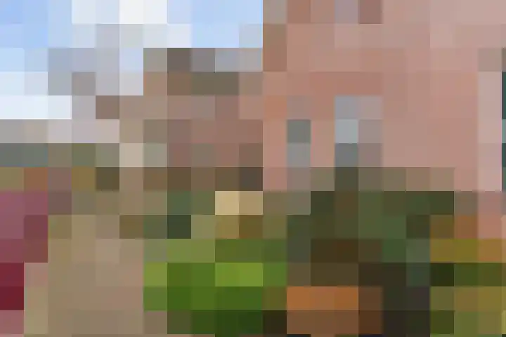 Koperwiek 6 Venhuizen thumbnail 56