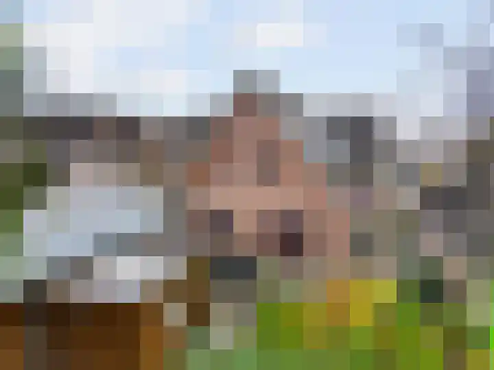 Koperwiek 6 Venhuizen thumbnail 57