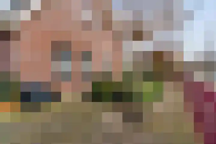 Koperwiek 6 Venhuizen thumbnail 58