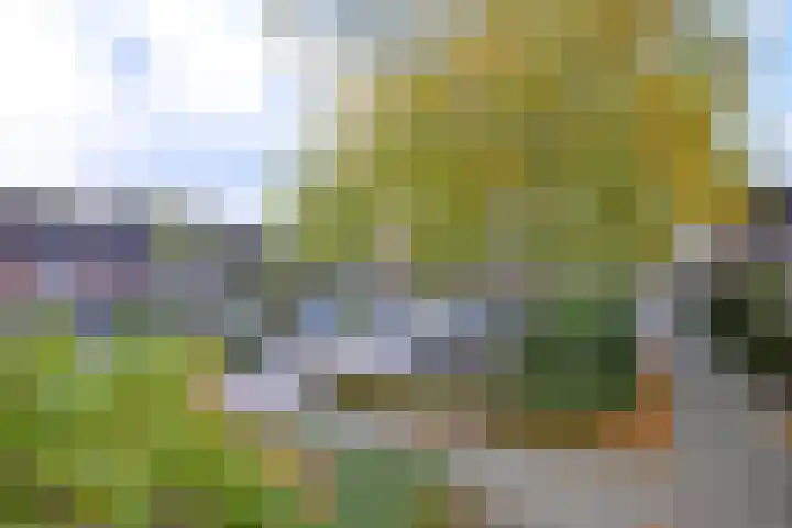 Koperwiek 7 Deventer thumbnail 22