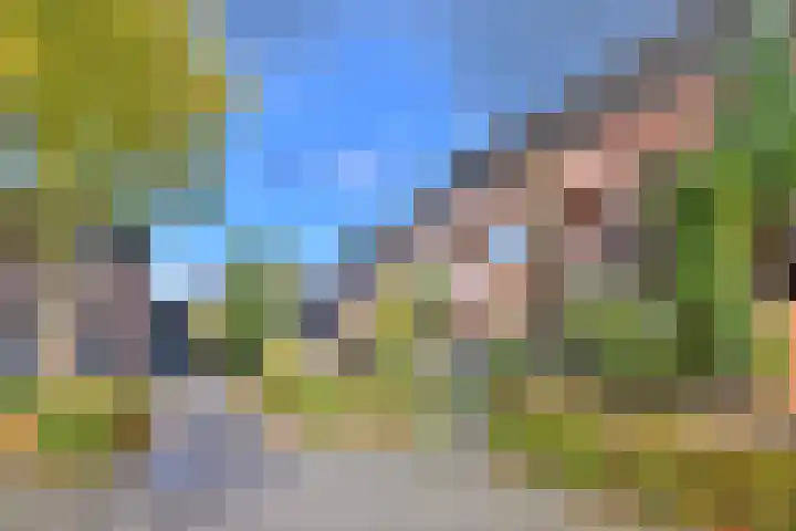 Koperwiek 7 Deventer thumbnail 43