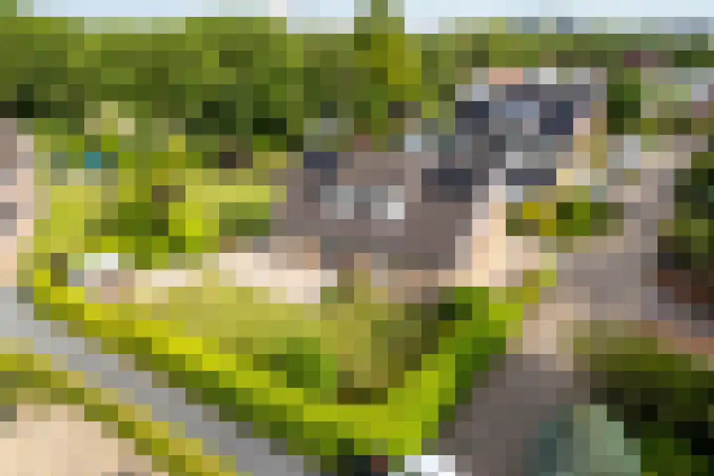 Koperwiek 8 Nieuwegein thumbnail 54