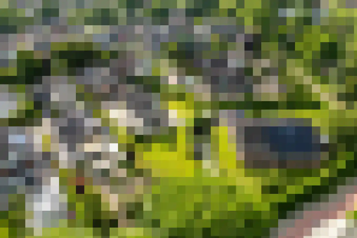 Koperwiek 8 Nieuwegein thumbnail 55