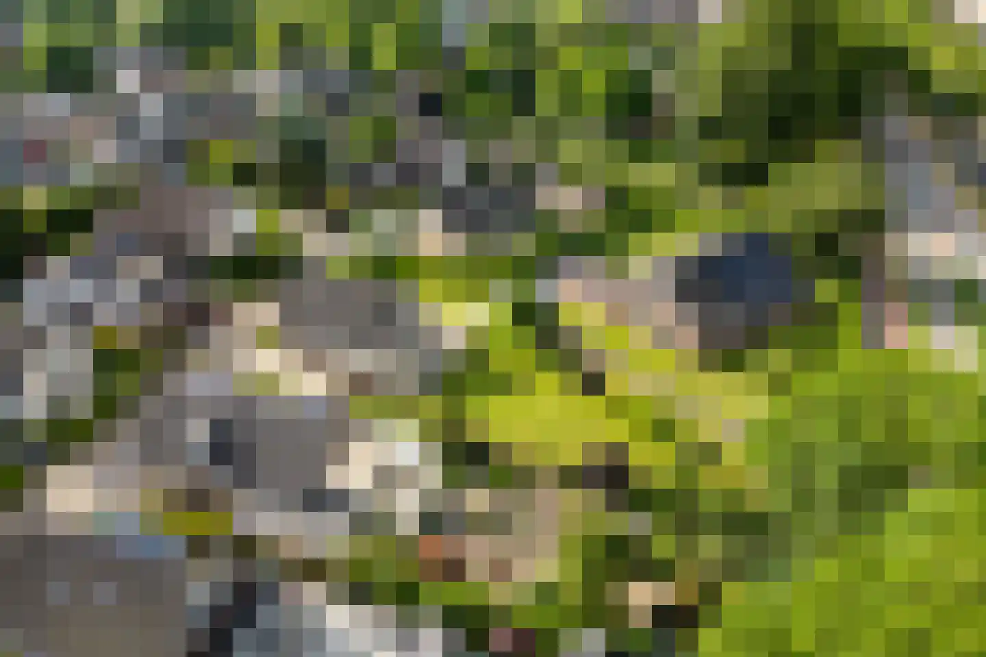Koperwiek 8 Nieuwegein thumbnail 56