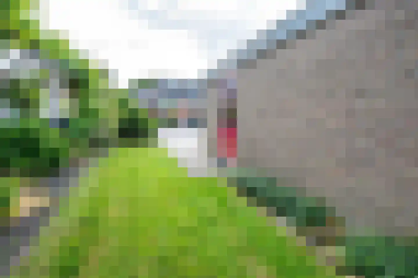 Koperwiek 8 Nieuwegein thumbnail 60