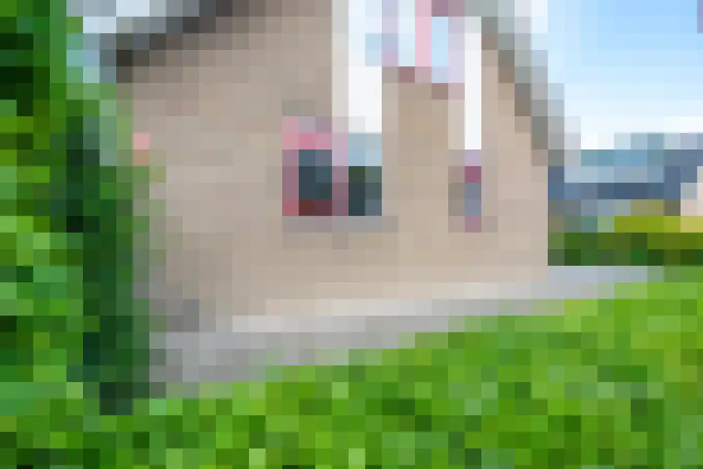 Koperwiek 8 Nieuwegein thumbnail 63