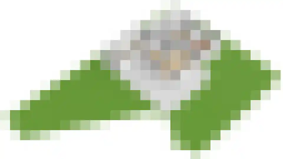 Koperwiek 8 Nieuwegein thumbnail 72