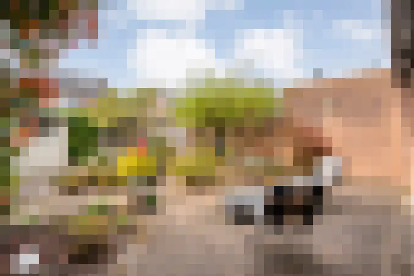 Koperwiek 9 Raalte thumbnail 37