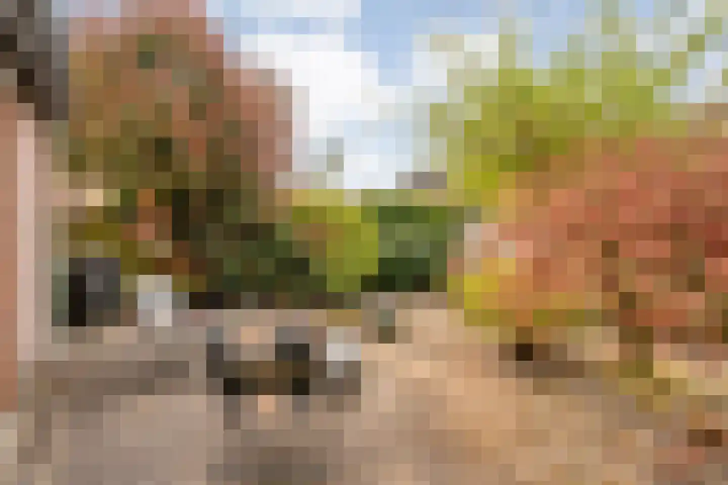 Koperwiek 9 Raalte thumbnail 39