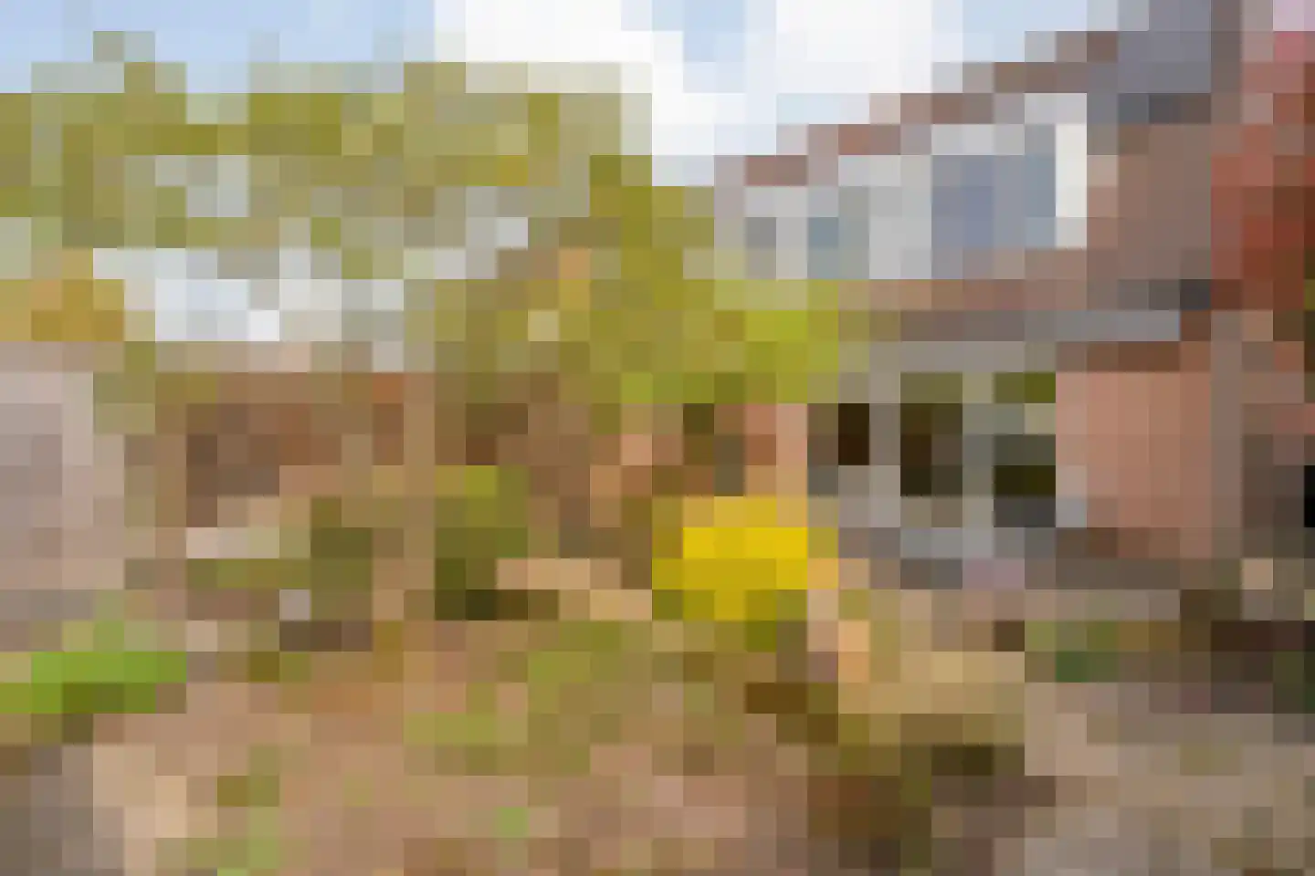 Koperwiek 9 Raalte thumbnail 41