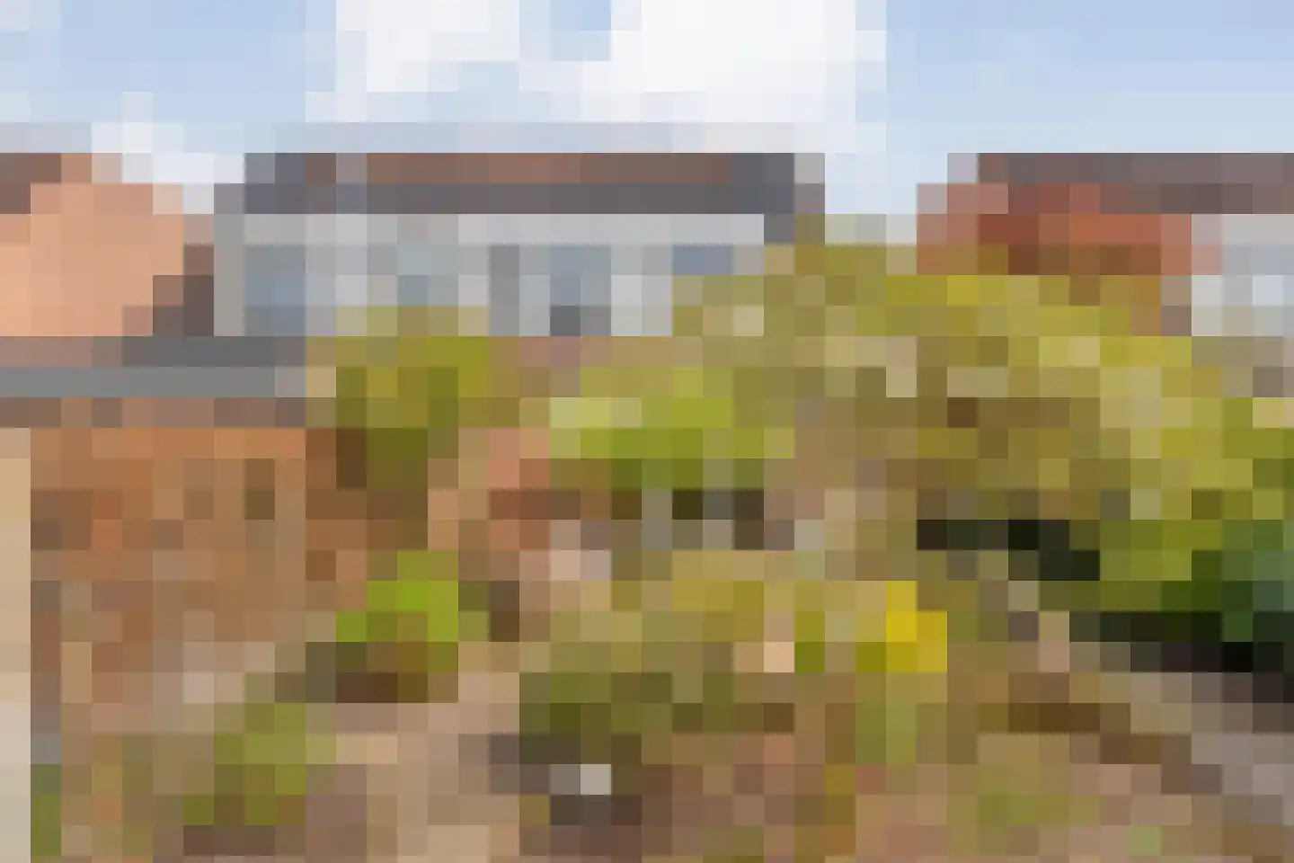 Koperwiek 9 Raalte thumbnail 43