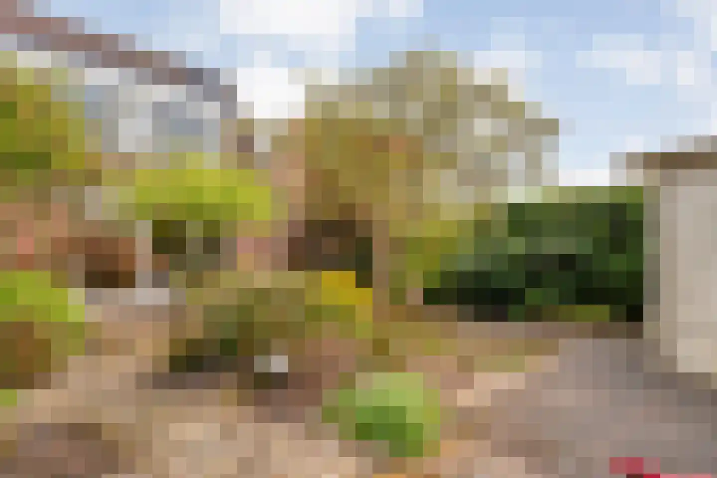 Koperwiek 9 Raalte thumbnail 44