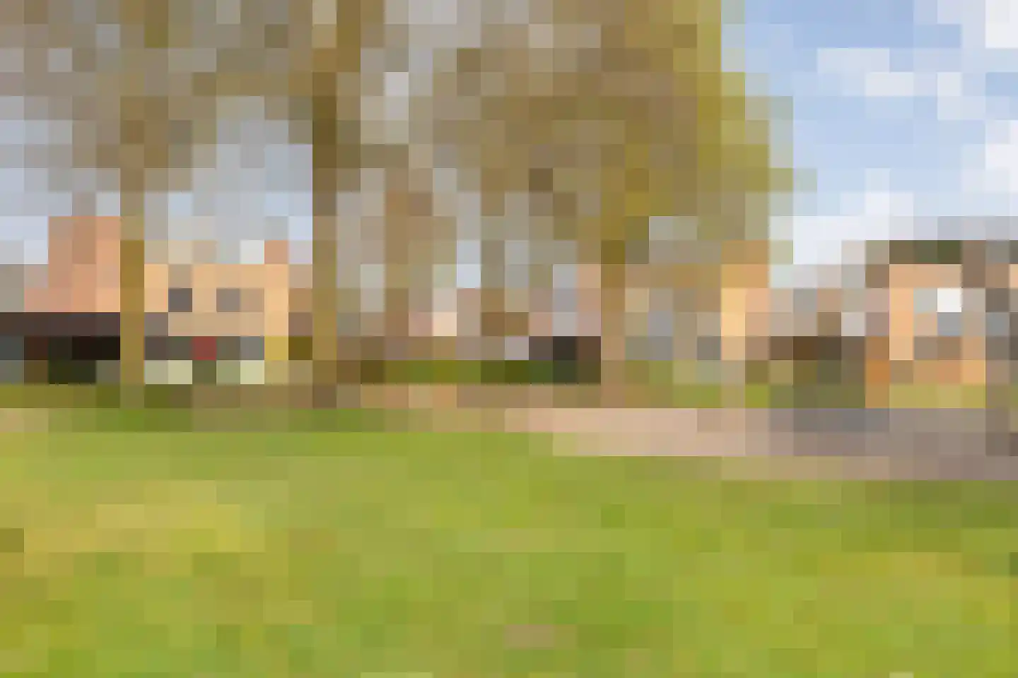 Koperwiek 9 Raalte thumbnail 46