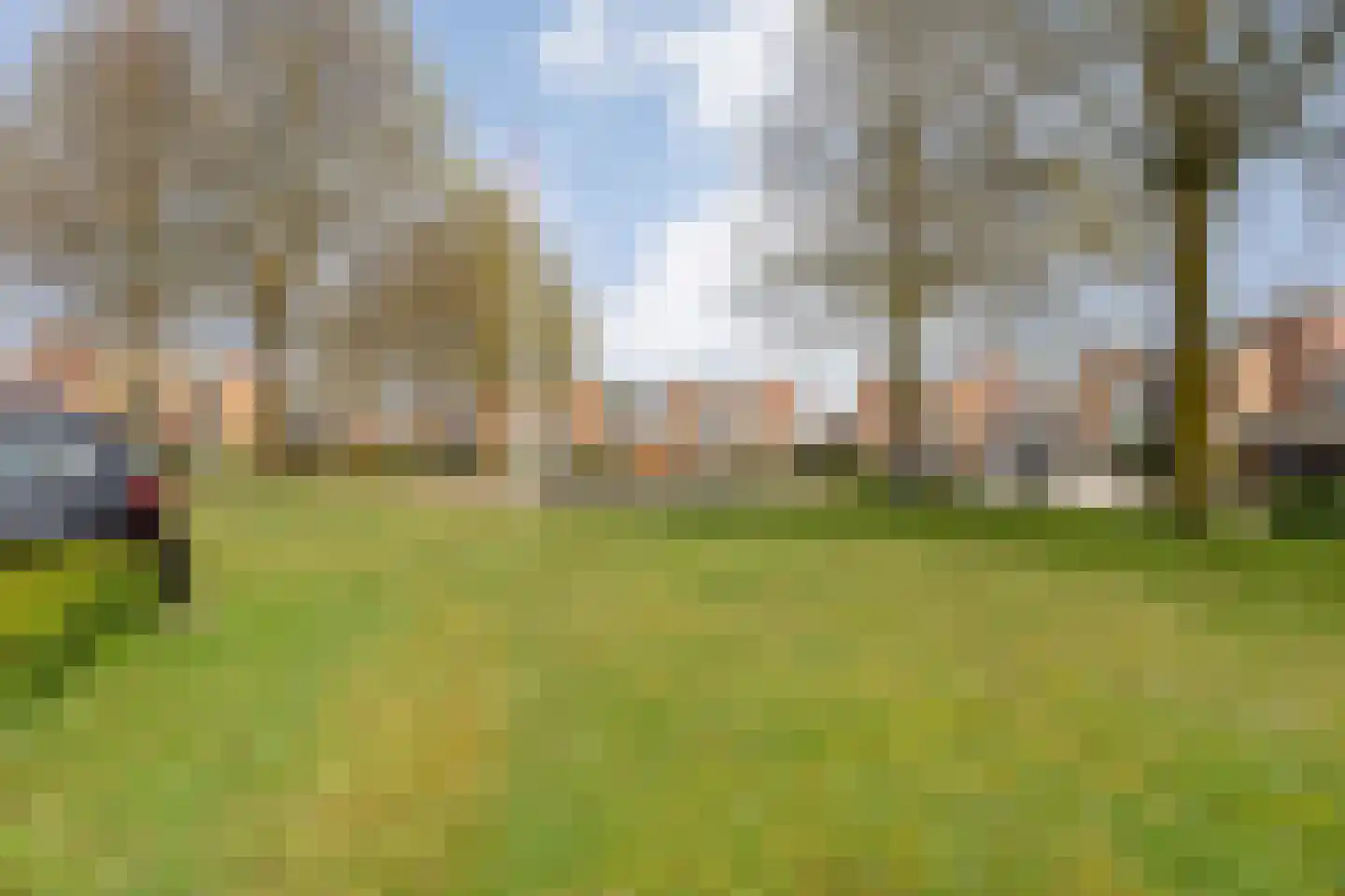 Koperwiek 9 Raalte thumbnail 47