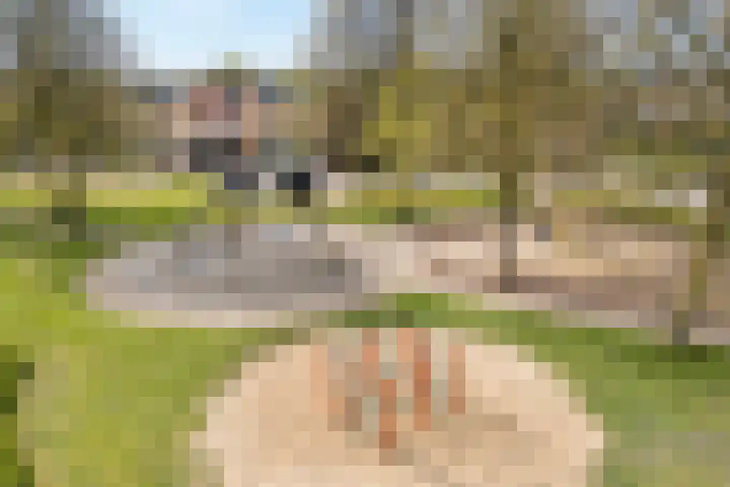 Koperwiek 9 Raalte thumbnail 48