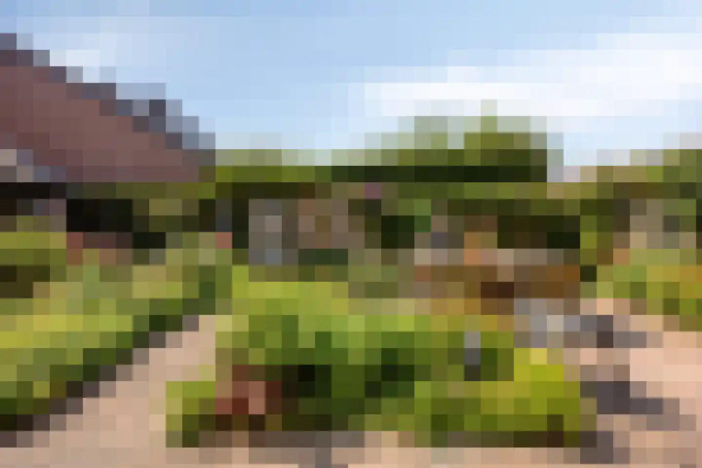 Koperwiekdreef 22 Bleiswijk thumbnail 10