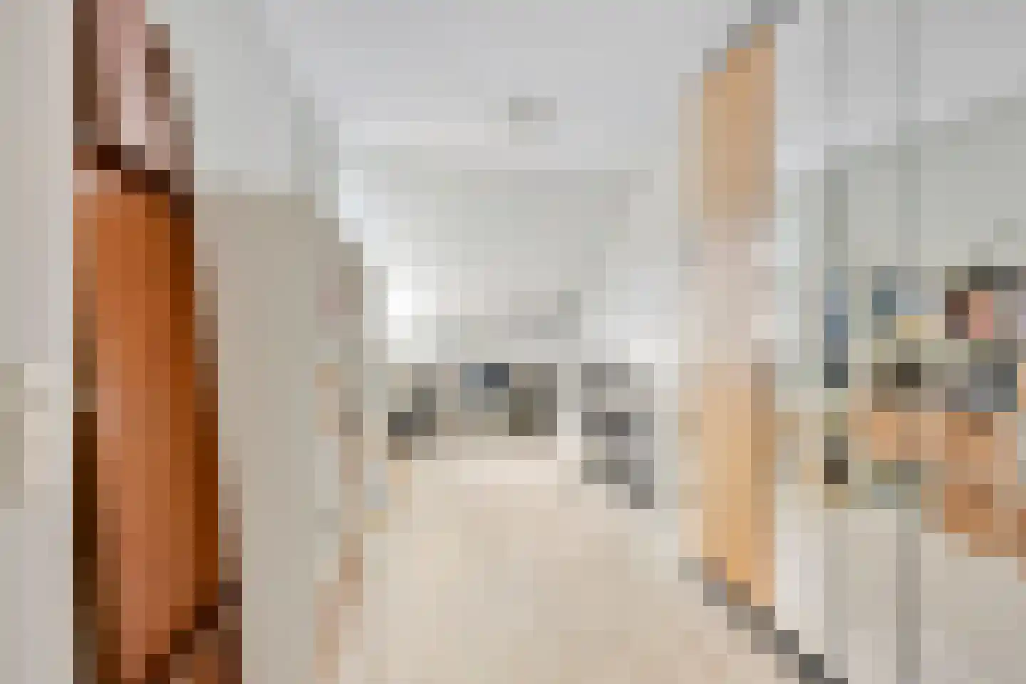 Koperwiekdreef 22 Bleiswijk thumbnail 19