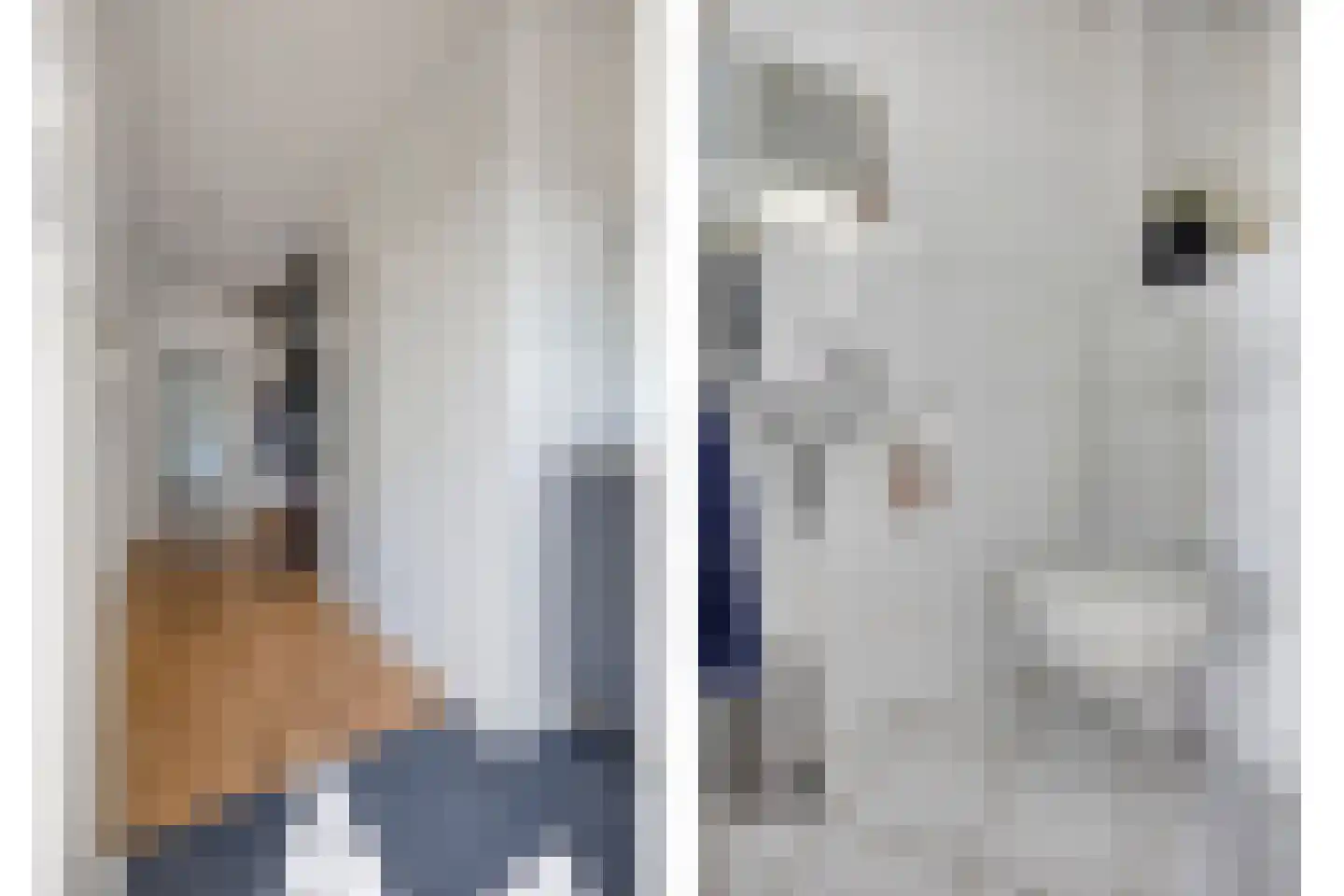 Koperwiekdreef 22 Bleiswijk thumbnail 25