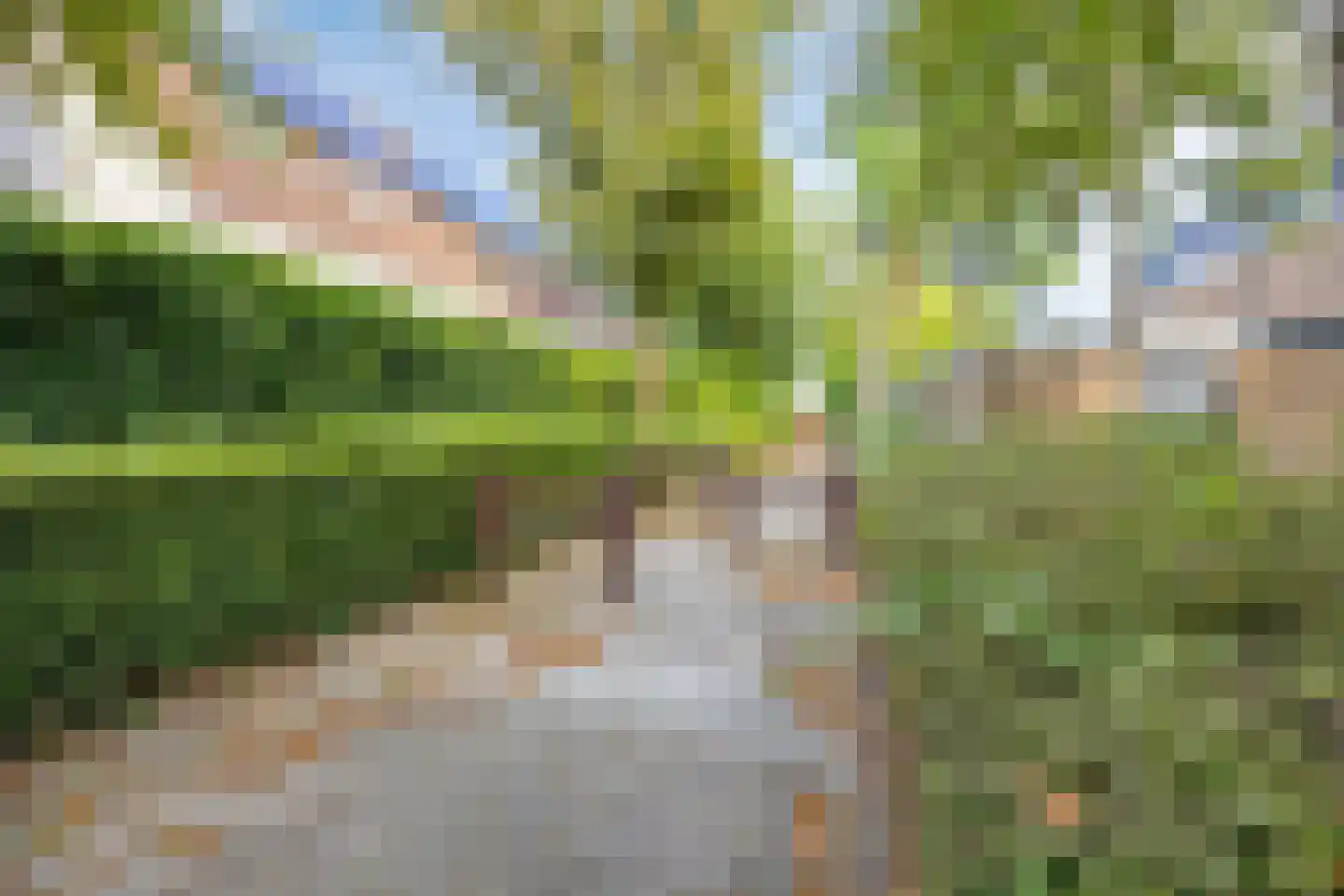 Koperwiekdreef 22 Bleiswijk thumbnail 31