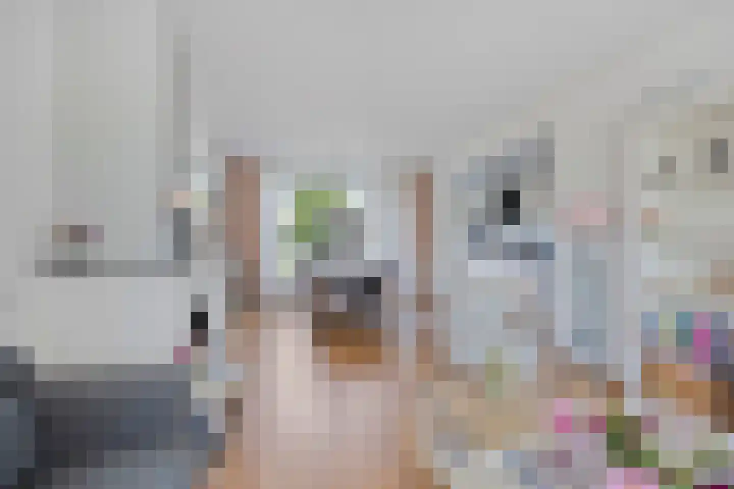 Koperwiekdreef 22 Bleiswijk thumbnail 4