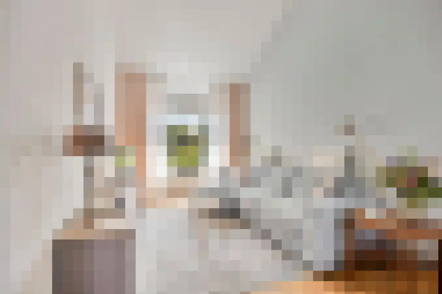 Koperwiekdreef 22 Bleiswijk thumbnail 7