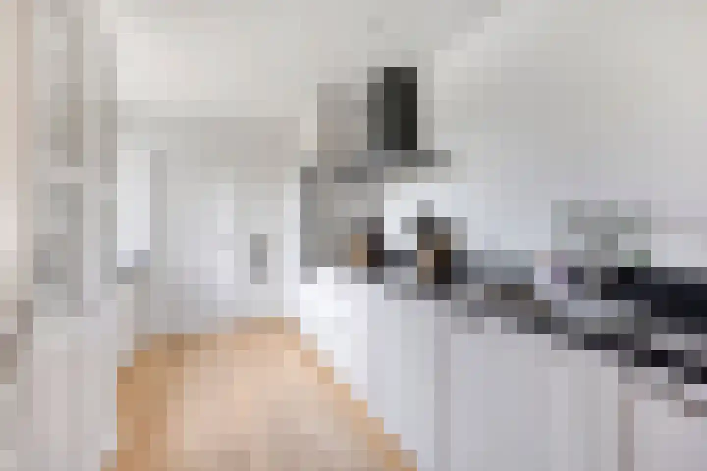 Koperwiekdreef 22 Bleiswijk thumbnail 9
