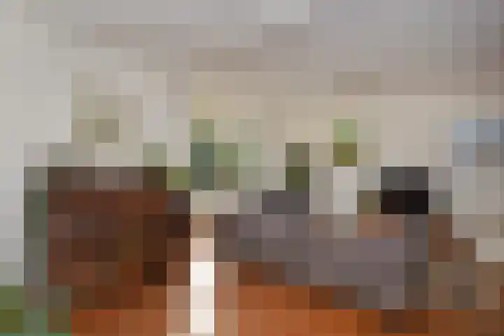 Koperwieklaan 14 Leidschendam thumbnail 18