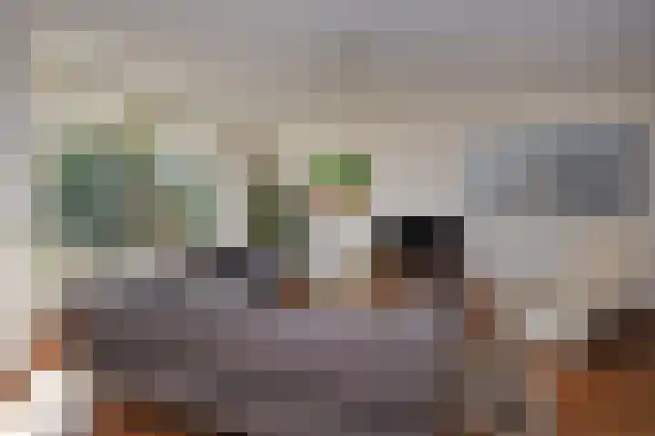 Koperwieklaan 14 Leidschendam thumbnail 19