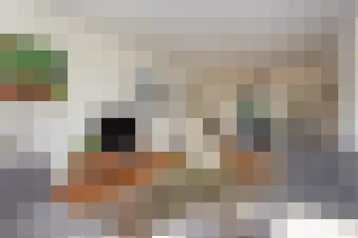 Koperwieklaan 14 Leidschendam thumbnail 21