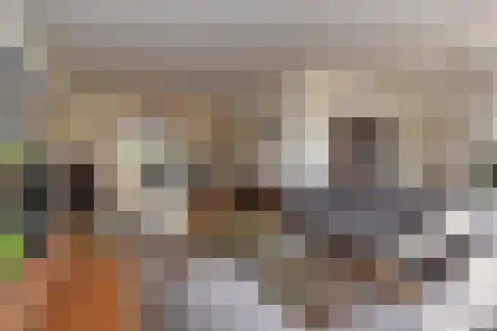 Koperwieklaan 14 Leidschendam thumbnail 22
