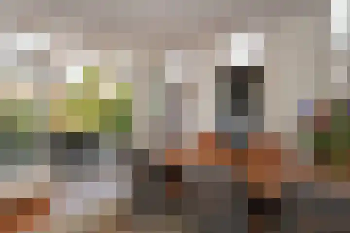 Koperwieklaan 14 Leidschendam thumbnail 26