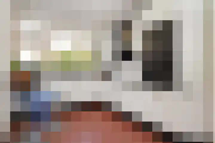 Koperwieklaan 14 Leidschendam thumbnail 29