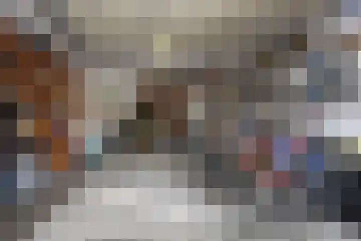 Koperwieklaan 14 Leidschendam thumbnail 31