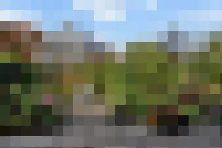 Koperwieklaan 14 Leidschendam thumbnail 38