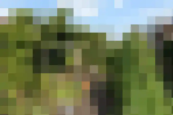 Koperwieklaan 14 Leidschendam thumbnail 40