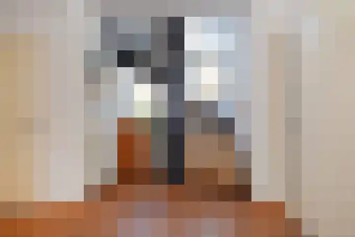 Koperwieklaan 14 Leidschendam thumbnail 44