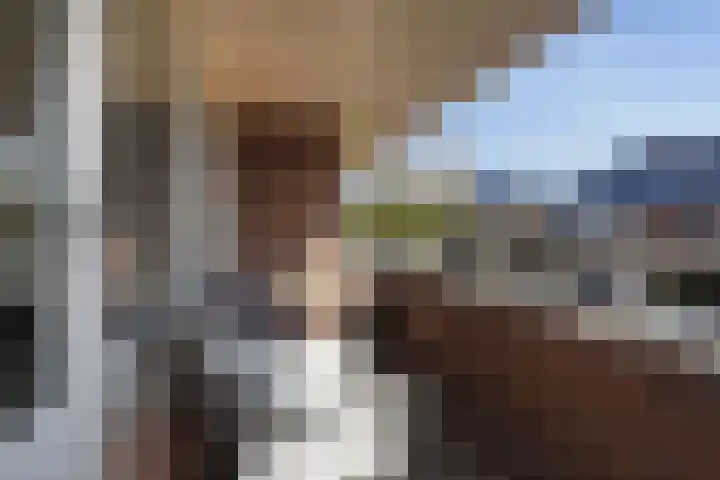 Koperwieklaan 14 Leidschendam thumbnail 50