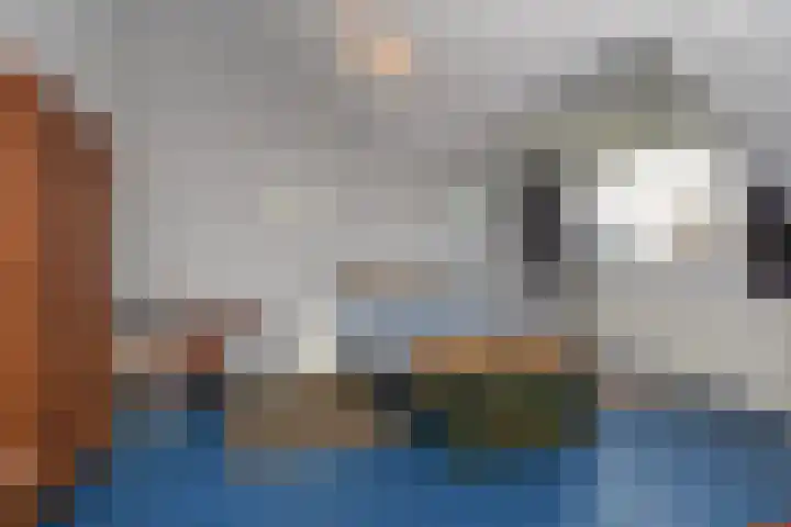 Koperwieklaan 14 Leidschendam thumbnail 62