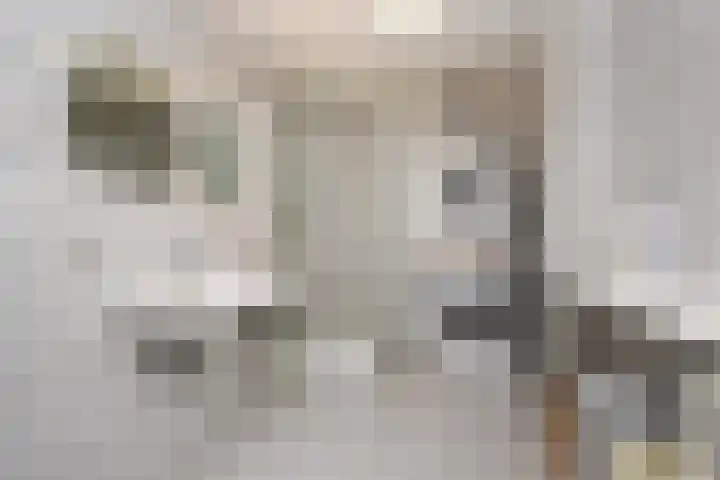 Koperwieklaan 14 Leidschendam thumbnail 63