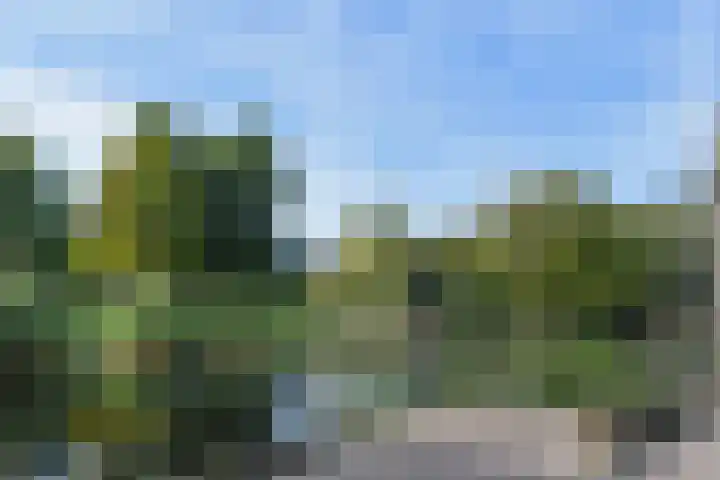 Koperwieklaan 14 Leidschendam thumbnail 66