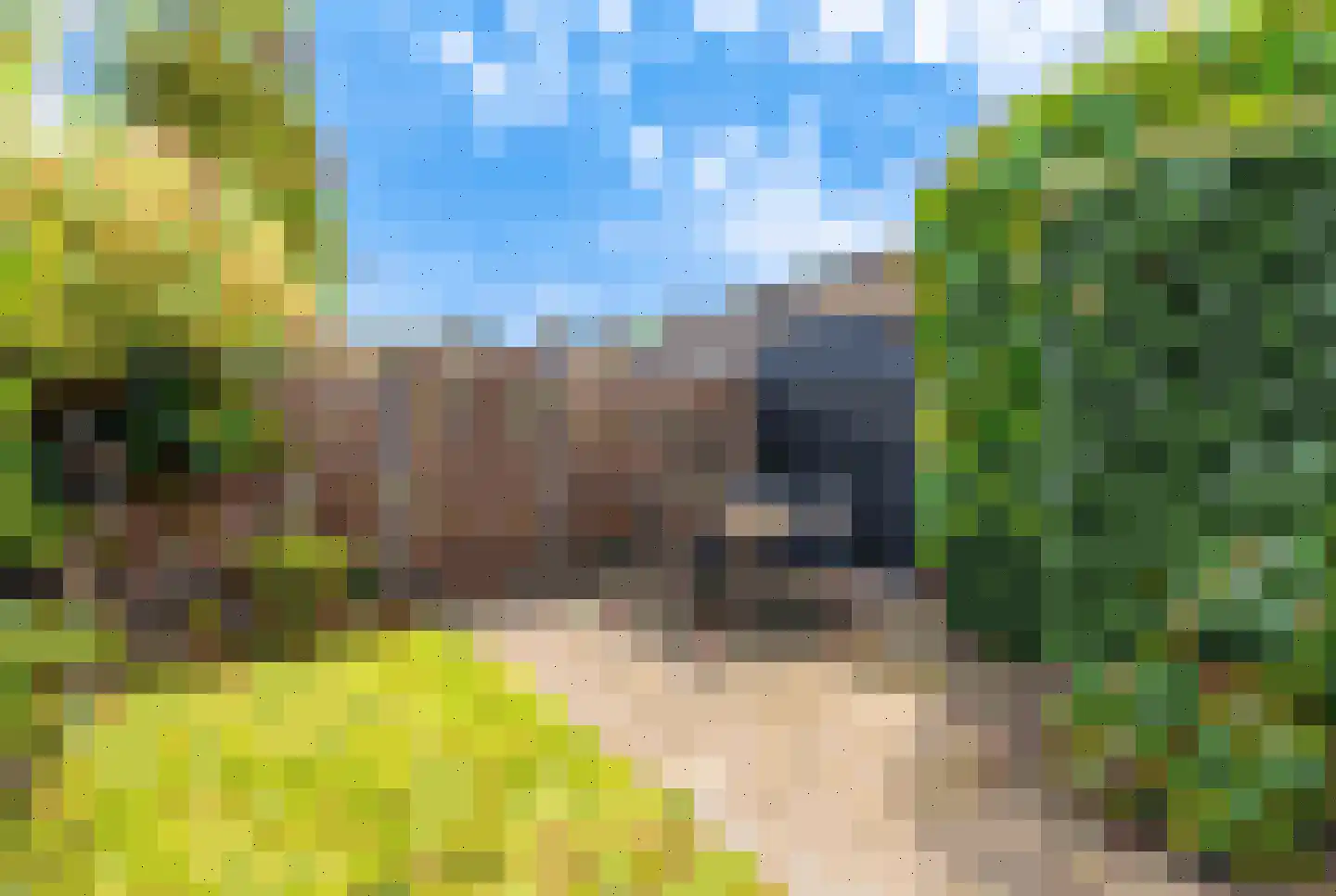 Koperwieklaan 38 Voorschoten thumbnail 17